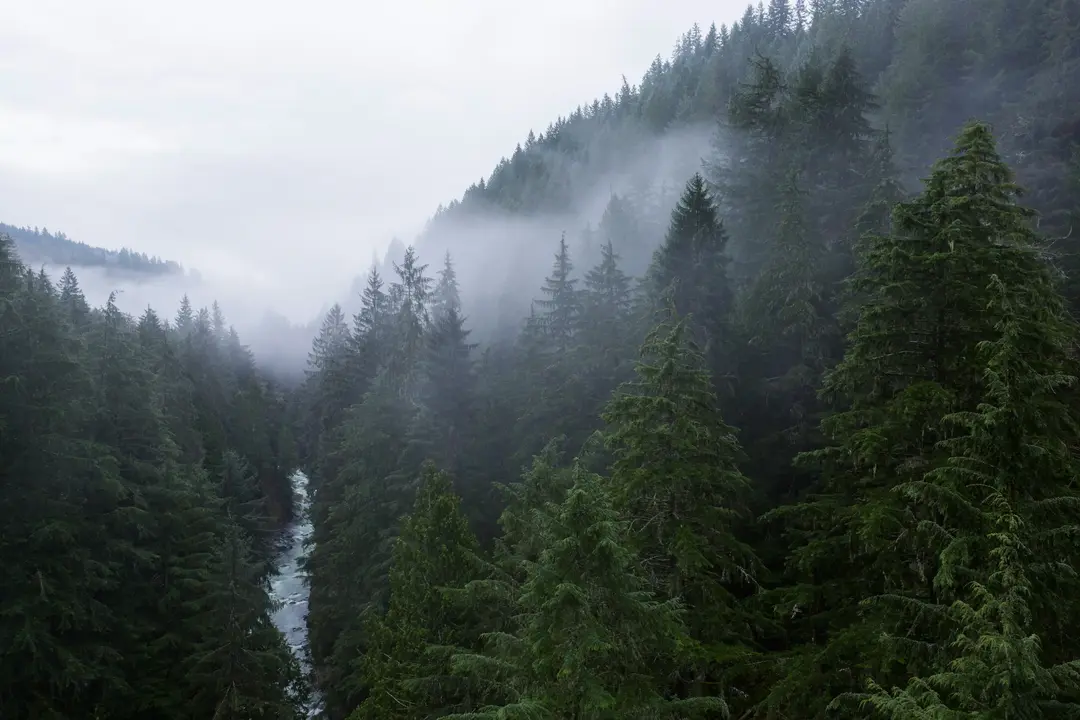 PNW landscape
